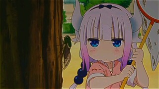 Kanna kawai