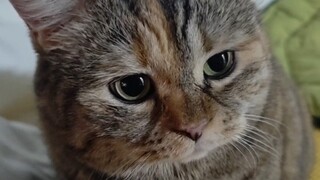 Didn’t you promise to bring me some cans when you come back?