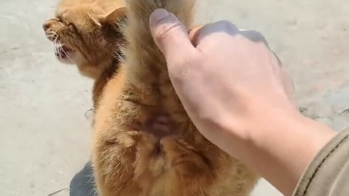 Nó cứ thế tự chạy đến luôn rồi