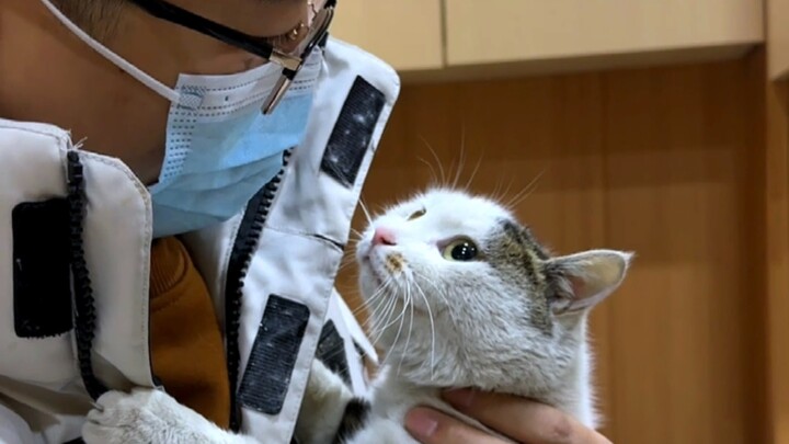 ฉากสัมภาษณ์จากรายการ "Black Heart Cat Cafe"