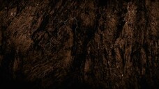 The Chosen - Season 3 (Episode 8)