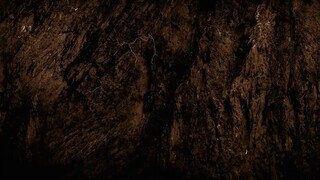 The Chosen - Season 3 (Episode 8)