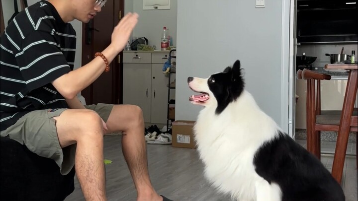 Dogs raising dogs in our imagination vs. dogs being raised in reality