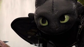 Toothless: Aku ingin pamer, tapi kamu malah menabrak tembok