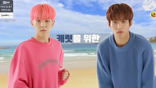 【SEVENTEEN】Finally found this magical video