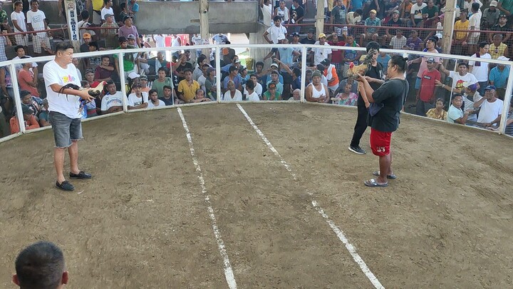 Last Fight #4 BAGWIS