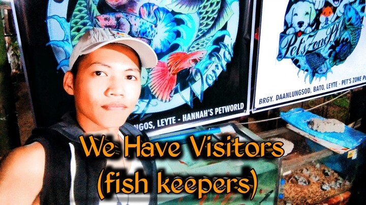 Baybay Fish Keepers & Hannah's Pet World (Display & Sell) Here In Inopacan, Leyte.