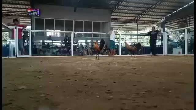 bulik win first fight laban sa gold april19Zamora coliseum 2025