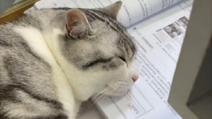 “Some wander the rivers and lakes, while others pore over their books in solitude...”