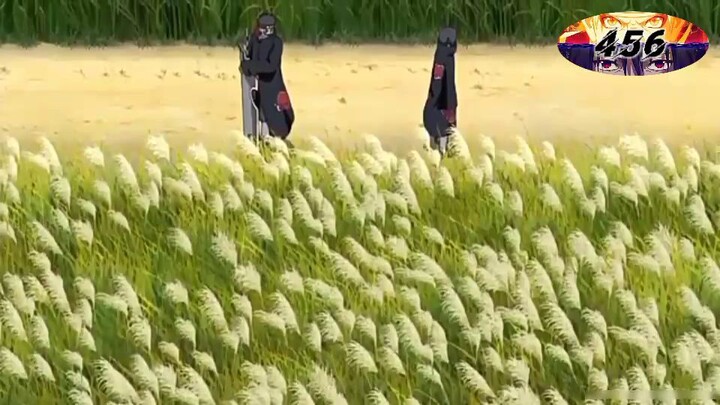 Akatsuki tagalog dub