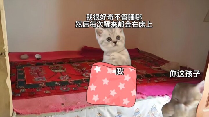 “Covering up with the quilt carries Mom’s love” #StoryFromTheInternet