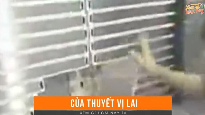 10 Sản Phẩm Kỳ Lạ Ấn Tượng Chỉ Tìm Thấy Ở Một Số Quốc Gia Trên Thế Giới