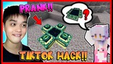 PRANK MOMON DENGAN END PORTAL MINI !! TIKTOK HACK BERHASIL !! Feat @sapipurba Minecraft