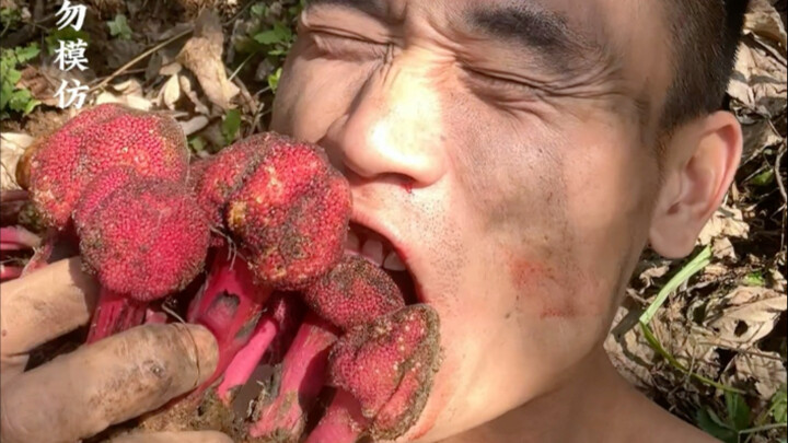 Shennong might not be as tough as me