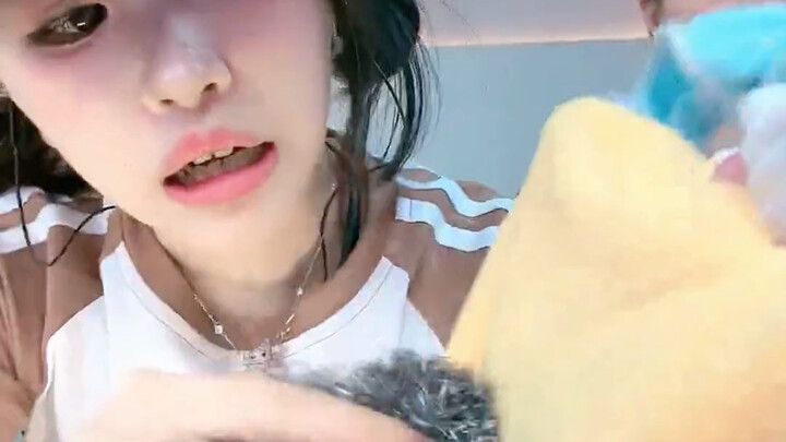 Sự cưng chiều của hai vị sư phụ dành cho Tiểu Hoàng thực sự khiến người ta ghen tị vô cùng.