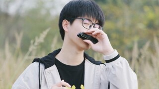 [Harmonica] Zhang Jie รักมาทั้งชีวิต ทำไมต้องกลัวลมและทราย