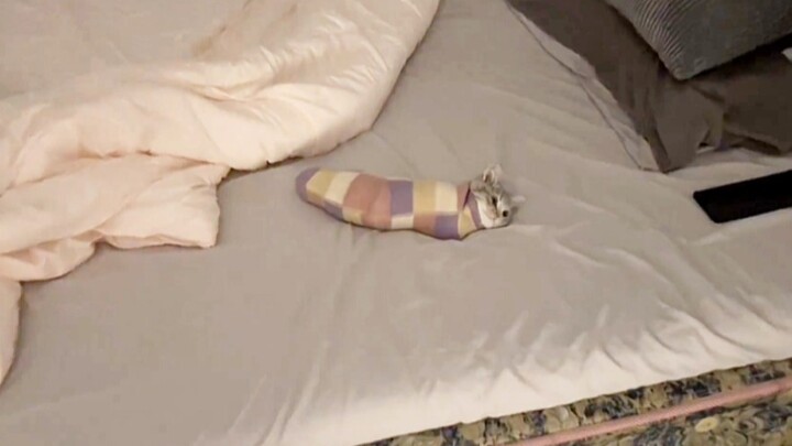 Cat’s speechless moment! Cat: How can there be people like this!