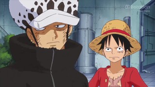 Lucu banget cara ngomong Luffy ke Law habis hajar caesar😂