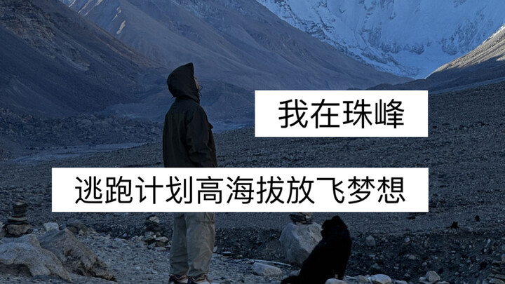 Who would go all the way to Mount Everest?