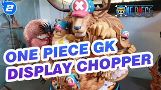 One Piece GK Display
Chopper_2
