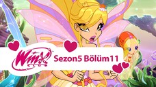 Winx Club - Sezon 5 Bölüm 11 - Trix’in Hileleri