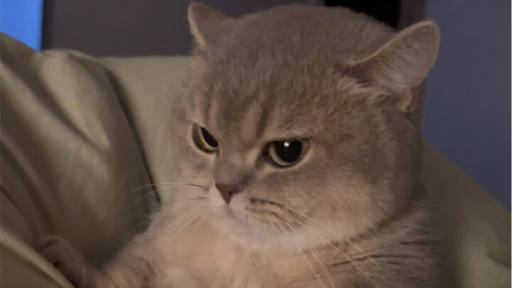 “ليش نطيّرها أصلاً!”