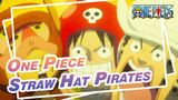 [One Piece] Straw Hat Pirates Are On The Ship