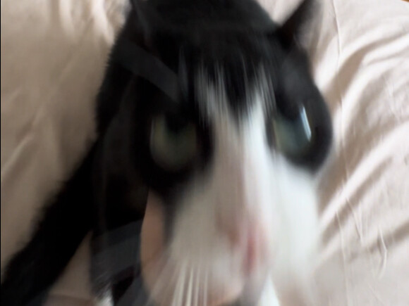 สภาพครอบครัวแบบไหนกันนะ ถึงยังมีการใช้ลาหมุนโม่?