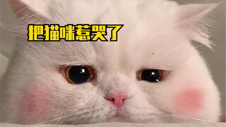 这么可爱的小猫咪怎么可以哭哭呢？