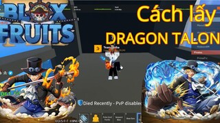 Cách lấy dragon talon+showcase trong blox fruit