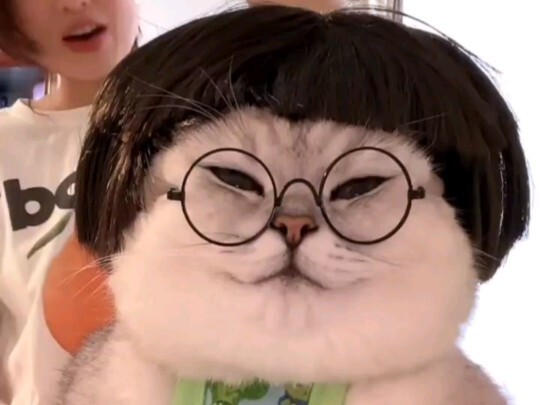 Ibu, aku melihat wajah lembut dan penuh kasih sayang pada kucing itu. Fen'er si senyum palsu profesi