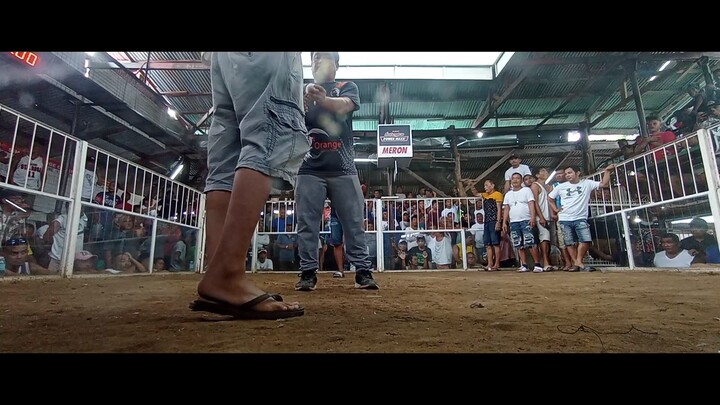 Cavan Backyard Farm 1st fight WIN