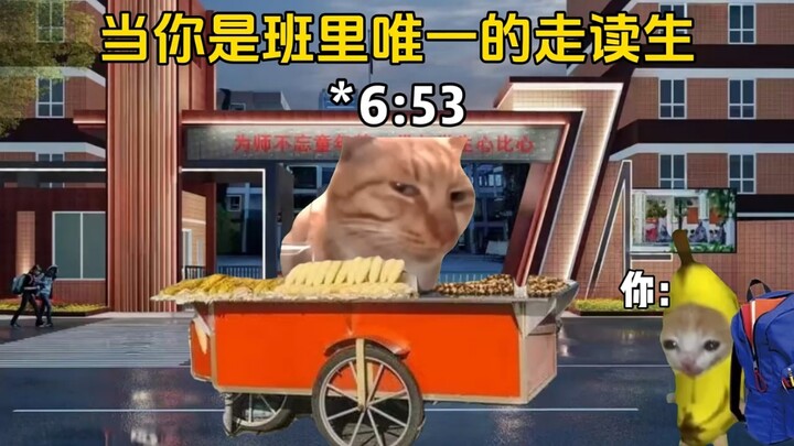 【مسرحية ميمات ييوو الماوس】 المنشئ يستكشف، مرحباً بكم في المشاهدة! لا تنسوا الإعجاب والاشتراك والمشار