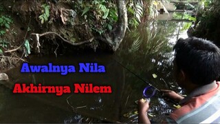 Mancing di Selokan yang Mulai Mengering - Awalnya Nila Terus Nilem