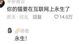 كنتُ فقط أريد تصوير شكل القطط داخل الأكياس، هاها، هذا مضحك جدًا!