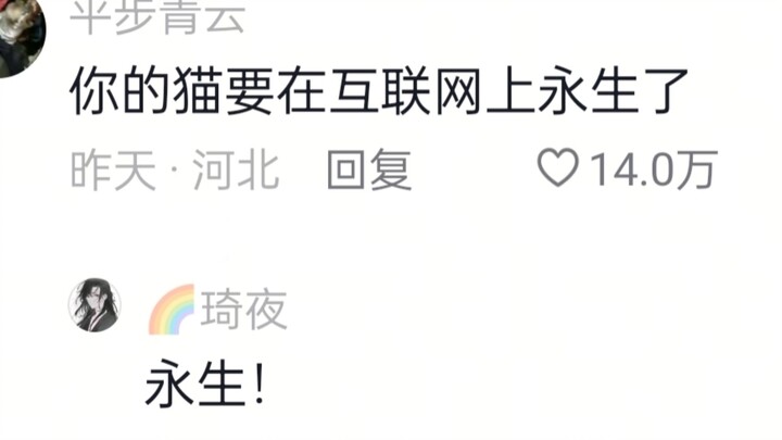 كنتُ فقط أريد تصوير شكل القطط داخل الأكياس، هاها، هذا مضحك جدًا!