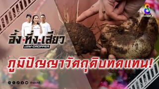 ภูมิปัญญาวัตถุดิบทดแทน! | อึ้ง ทึ่ง เสียว