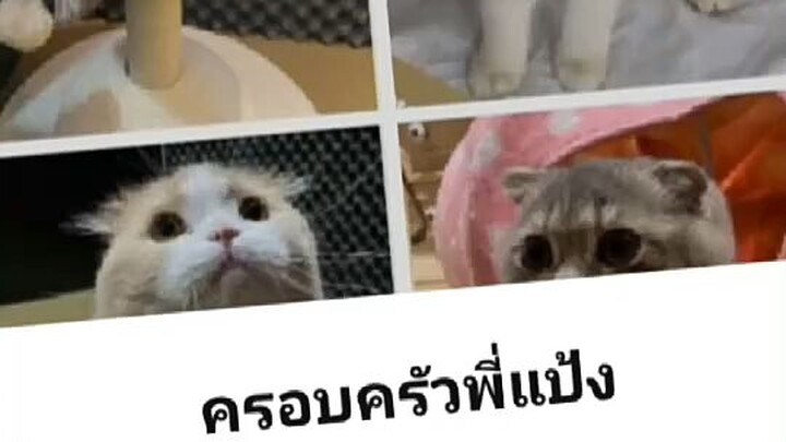 ใครใช่ไลน์เข้าหน่อยงับ