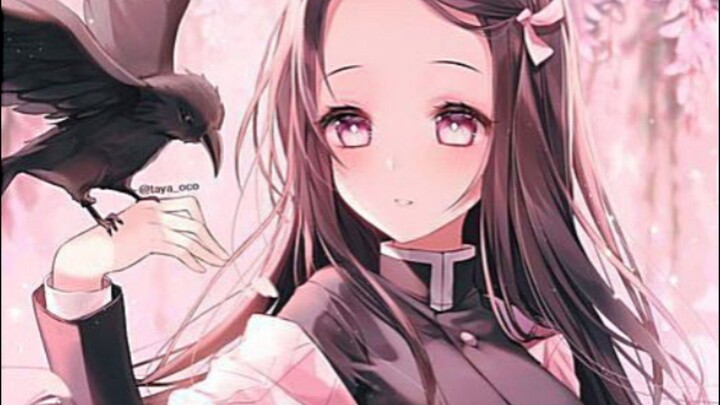 Nezuko demon atau Nezuko hashira?☺💗