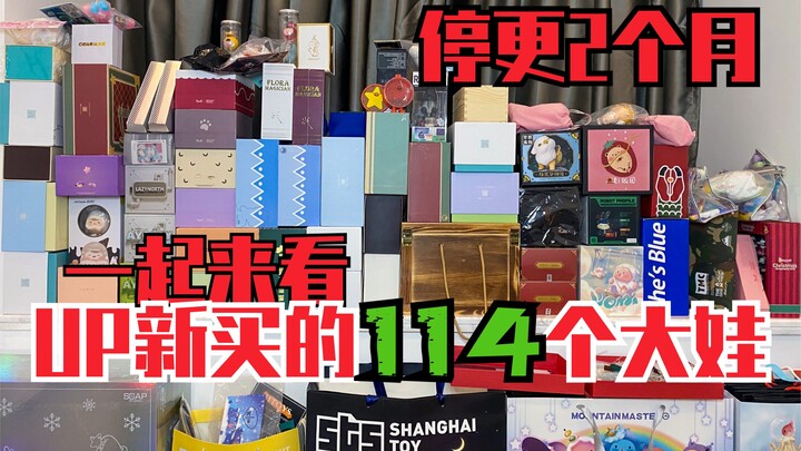 【潮玩砌墙】UP花了10万买的114只新玩具/sooya/蒙特ed/MTFU/wowork/薯泥/ayowy/dimoo/mimi/huhu/tatami...