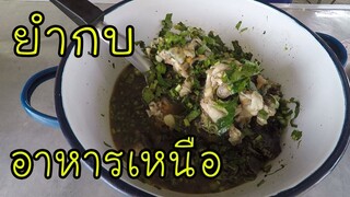 อาหารเหนือ ยำกบ รสเด็ด #บ้านเราสตอรี่