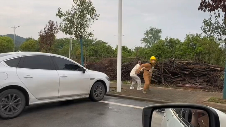 เปลี่ยนศัตรูให้กลายเป็นมิตร ร่วมกันสร้างบทเพลงอันงดงาม!