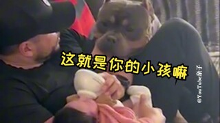The family dog meets the baby for the first time 💓