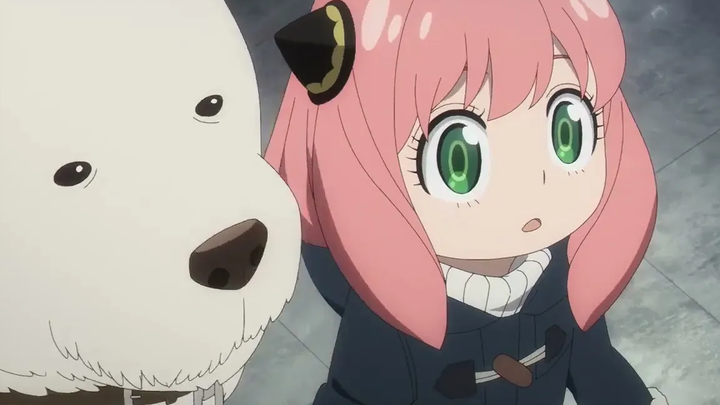 วาคุ วาคุ! Starlight Anya Anya หลบหนีด้วยพันธะจากผู้ก่อการร้าย