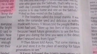 Daily Verse.                  Exodus 16:31-36
