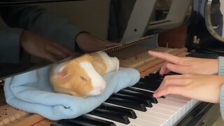 鼠鼠：来不及说了家人们，来感觉了我先睡了