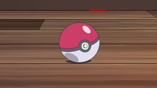 Khoảnh khắc ngọt ngào khi cầm kiếm và khiên Xiaozhi chinh phục Pokemon