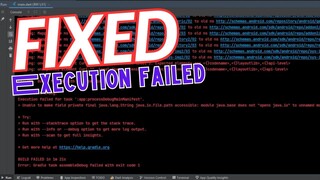 how to fix Flutter exception error