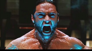 Asal Usul Logam Adamantium di Tubuh Wolverine