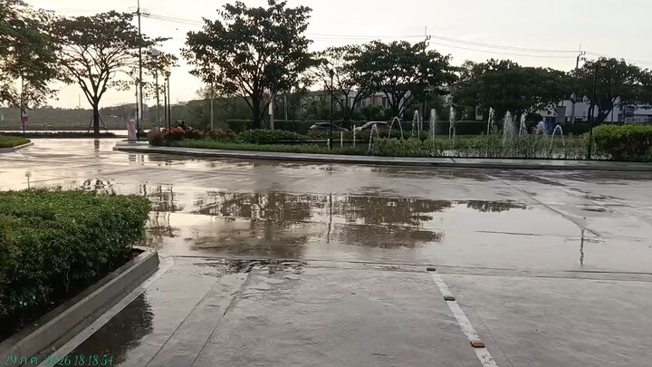 ฝนตก